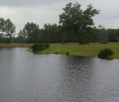 Culley's Lake